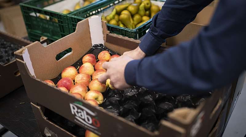 bestil økologisk firmafrugt